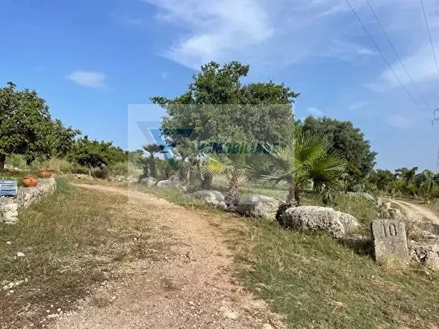 Immagine 17 di Terreno in vendita  in Strada Carancino a Siracusa