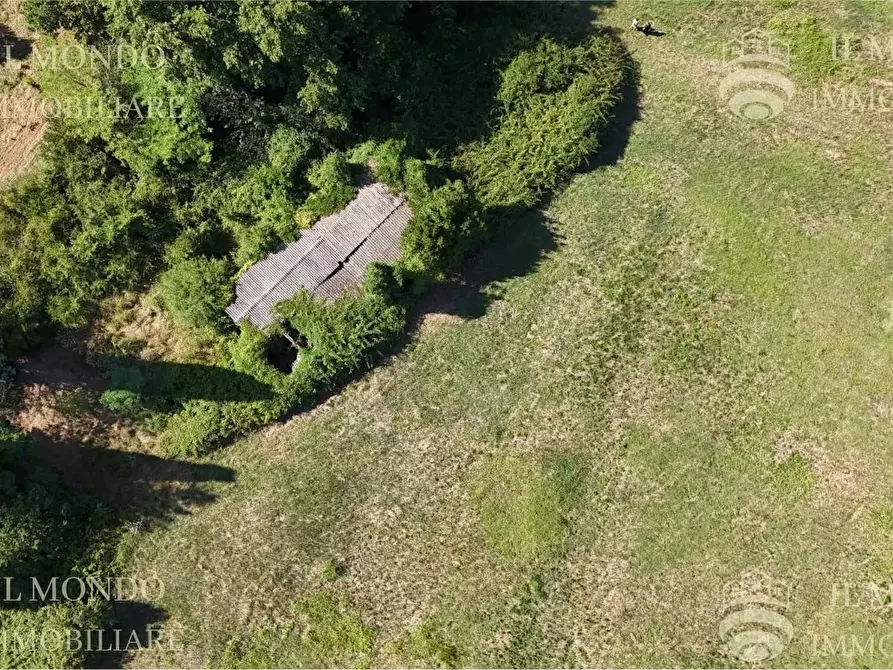 Immagine 11 di Terreno in vendita  in Località Albanetta a Palombara Sabina