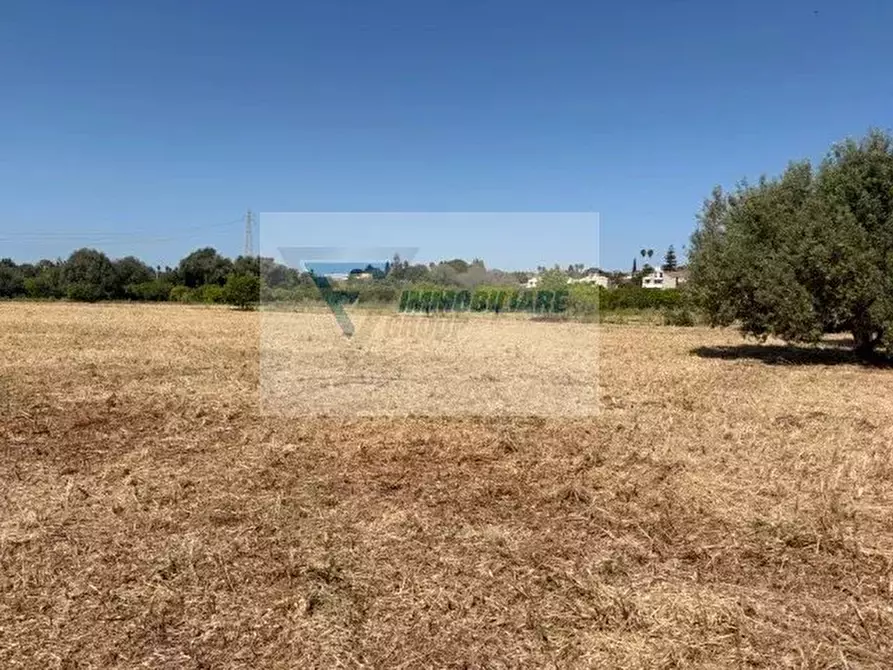 Immagine 4 di Terreno in vendita  in Strada Tremmilia a Siracusa