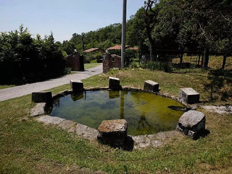 Immagine 19 di Terreno edificabile in vendita  a Albaretto Della Torre