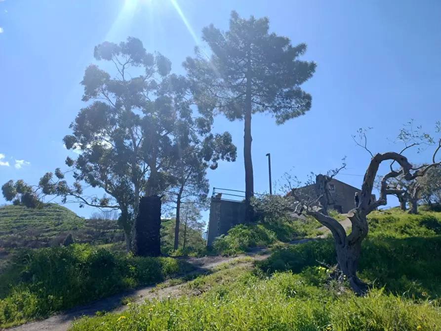 Immagine 11 di Terreno in vendita  in Contrada Bosco, roccavaldina, me a Condrò