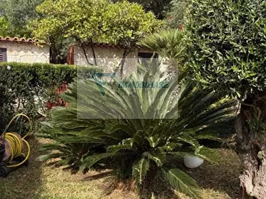 Immagine 6 di Terreno edificabile in vendita  in Via Parma a Buccheri