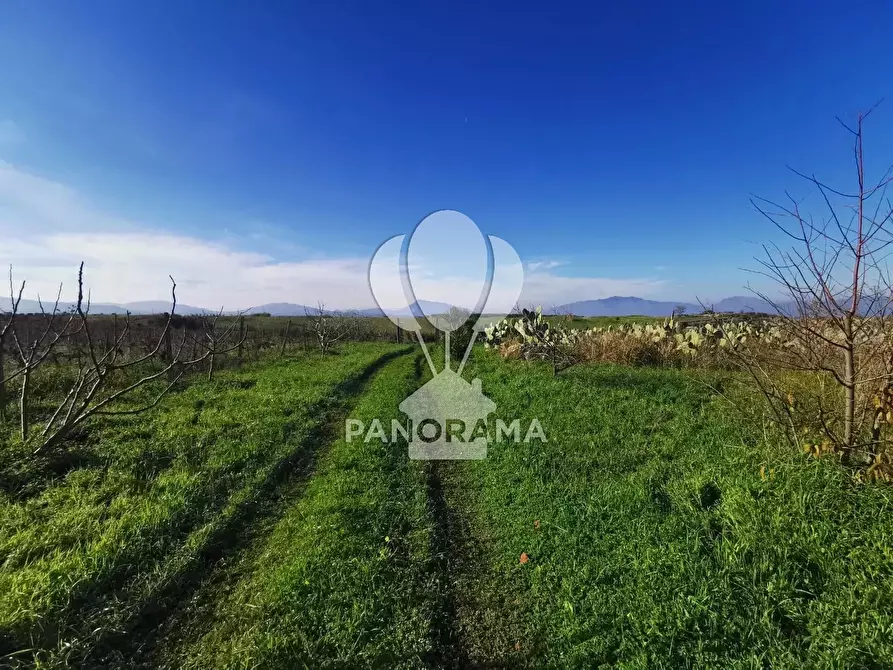 casa indipendente in vendita a Partinico