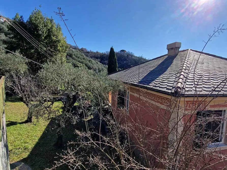 Immagine 16 di Terreno edificabile in vendita  in Via Domenico Canata a Avegno