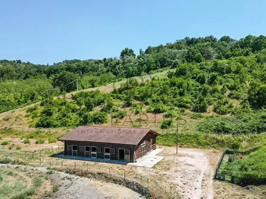 Immagine 11 di Terreno edificabile in vendita  in Urbino a Urbino