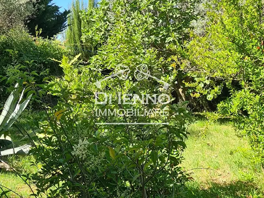 Immagine 5 di Terreno edificabile in vendita  in Canneto Sabino a Casaprota