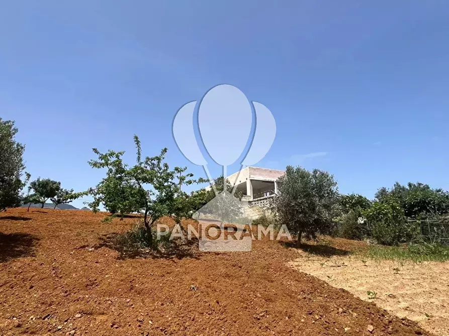 Immagine 19 di Terreno in vendita  in Contrada Vallone del Lupo a Alcamo