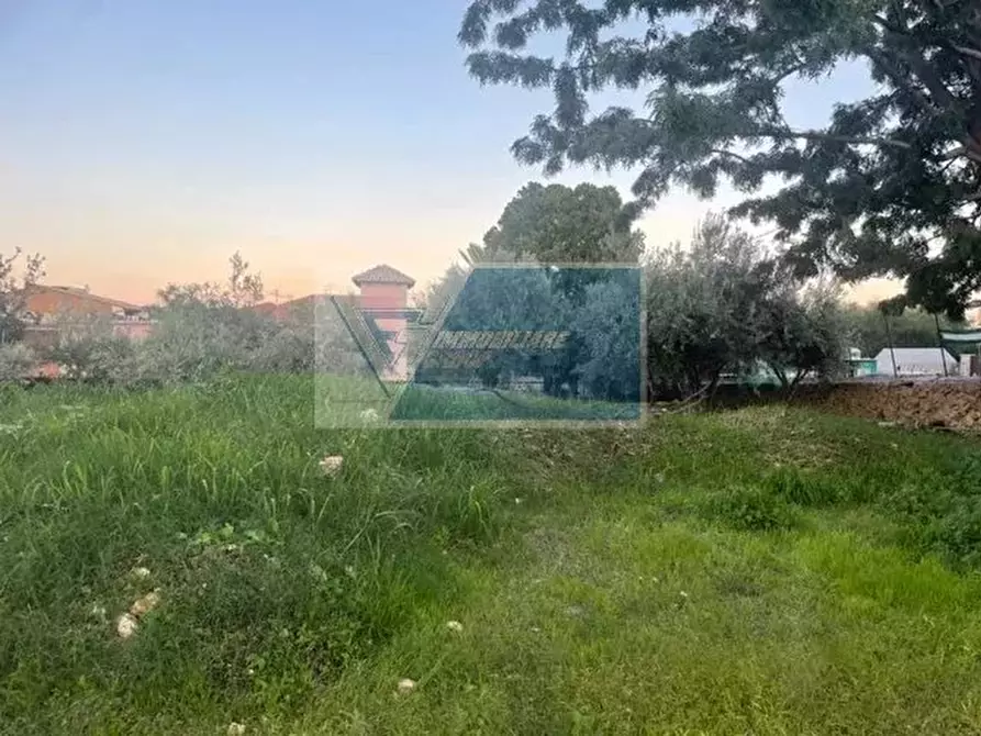 Immagine 6 di Terreno in vendita  in Via Mascagni a Buccheri