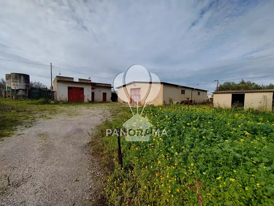 Immagine 4 di Attico in vendita  a Partinico