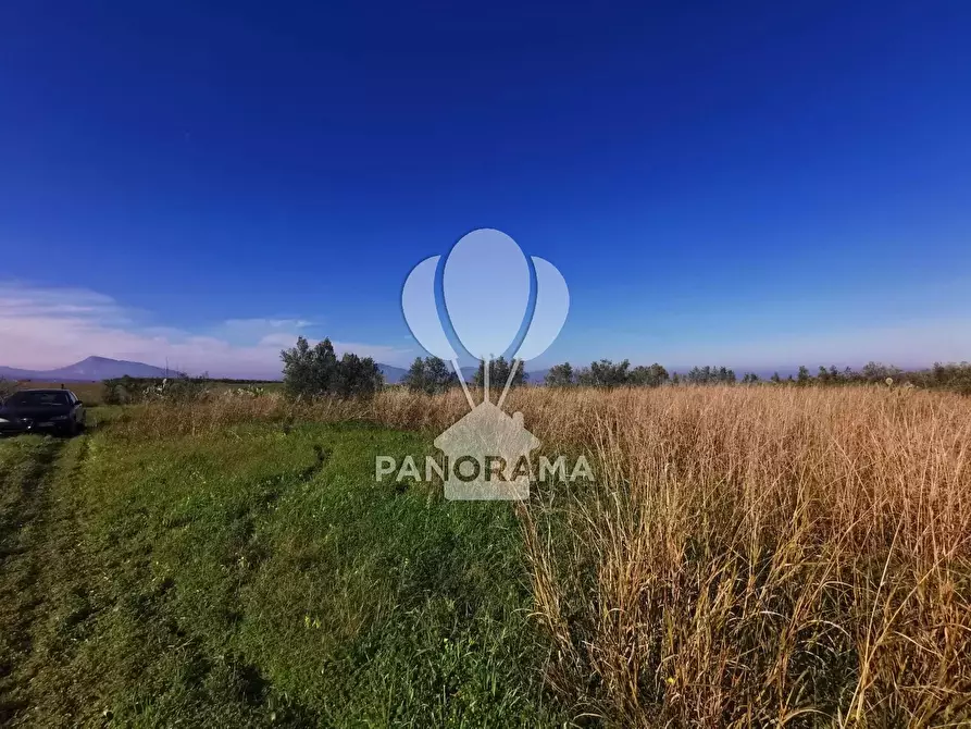 Immagine 9 di Terreno in vendita  a Partinico