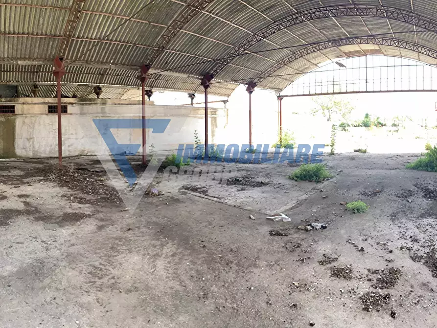 Immagine 6 di Casa bifamiliare in vendita  in Via Elorina a Siracusa