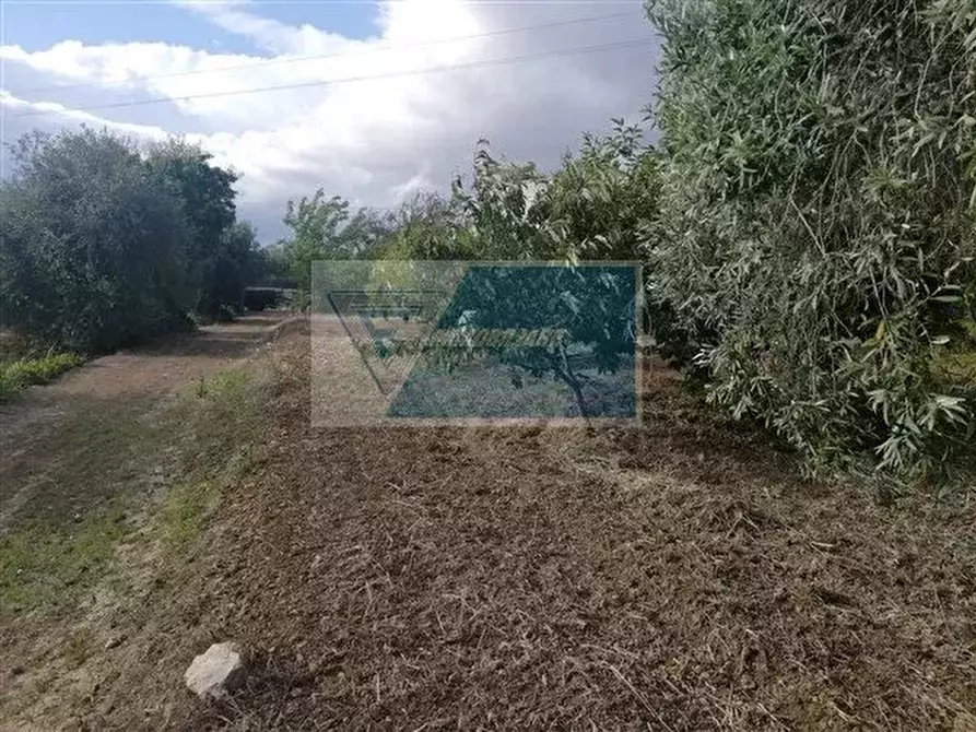 Immagine 6 di Terreno in vendita  a Siracusa