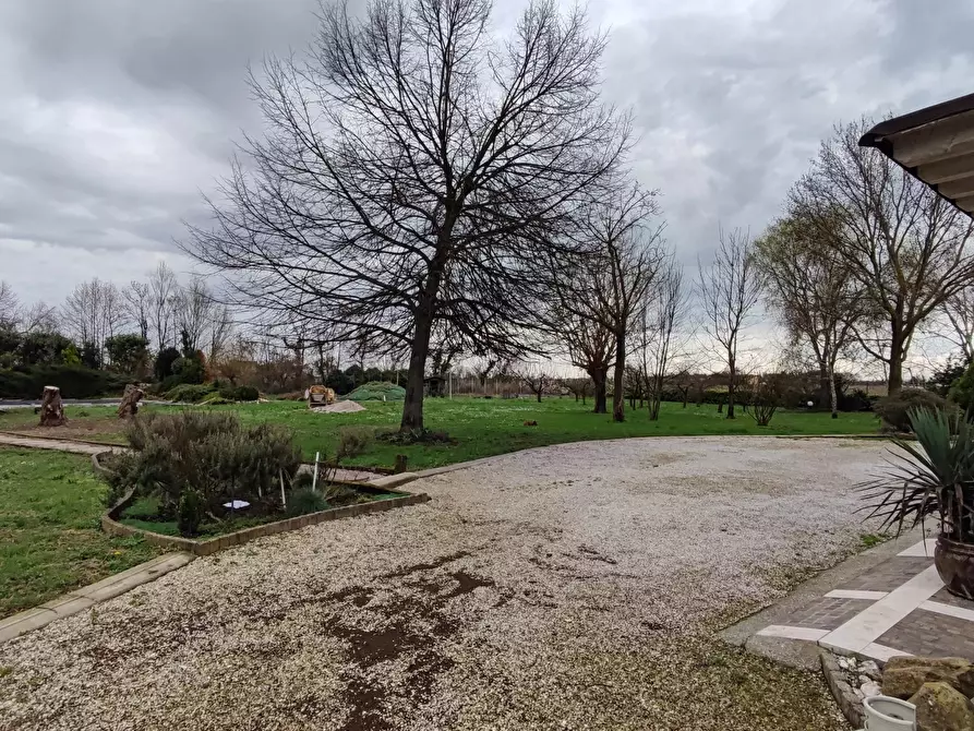 Immagine 4 di Terreno edificabile in vendita  a Codognè