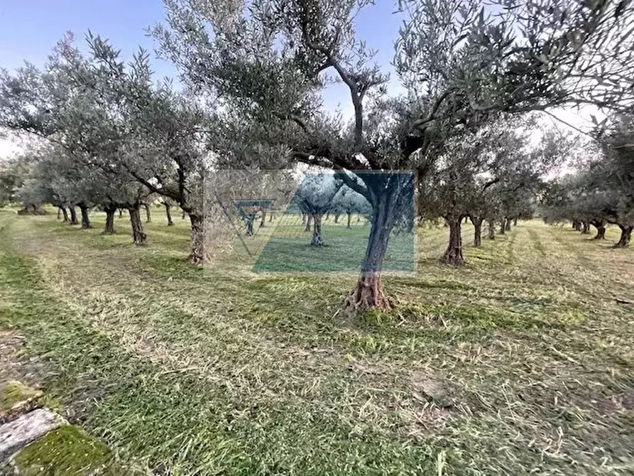 Immagine 1 di Terreno in vendita  in C.da  Carancino a Siracusa