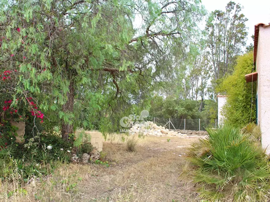 Immagine 12 di Terreno edificabile in vendita  a Marsala