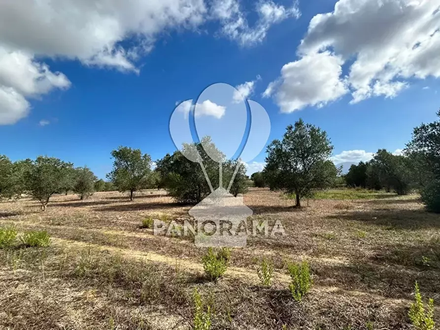 Immagine 21 di Terreno edificabile in vendita  in Strada Statale 113 a Partinico