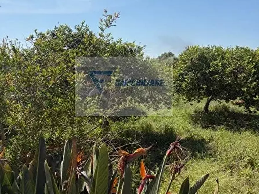 Immagine 26 di Terreno in vendita  in Strada Tremmilia a Siracusa