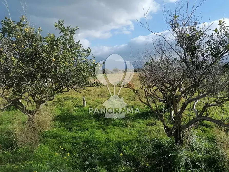 Immagine 1 di Terreno in vendita  in Contrada Vacante partinico a Partinico