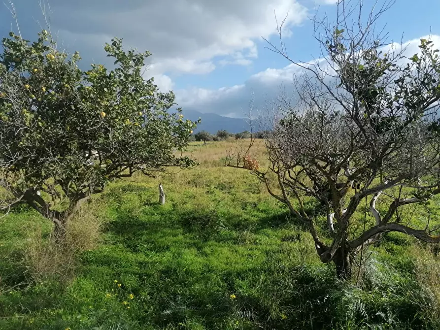 Immagine 1 di Terreno in vendita  in Contrada Vacante partinico a Partinico