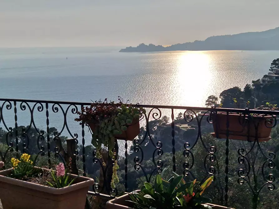 Immagine 9 di Casa trifamiliare in vendita  in Sant'Andrea di Rovereto a Chiavari