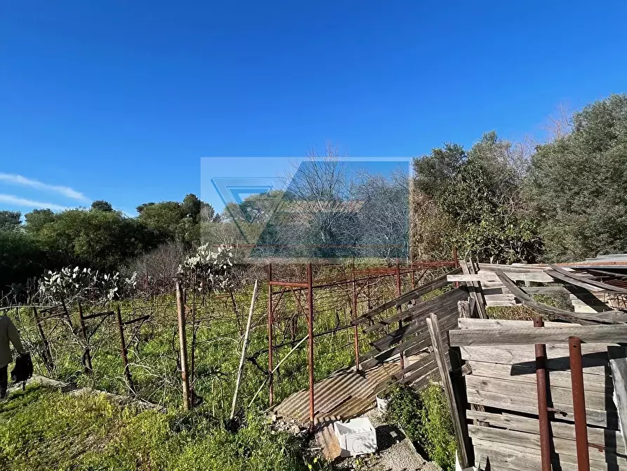 Immagine 3 di Terreno in vendita  in Trav. Mulino Marino a Siracusa