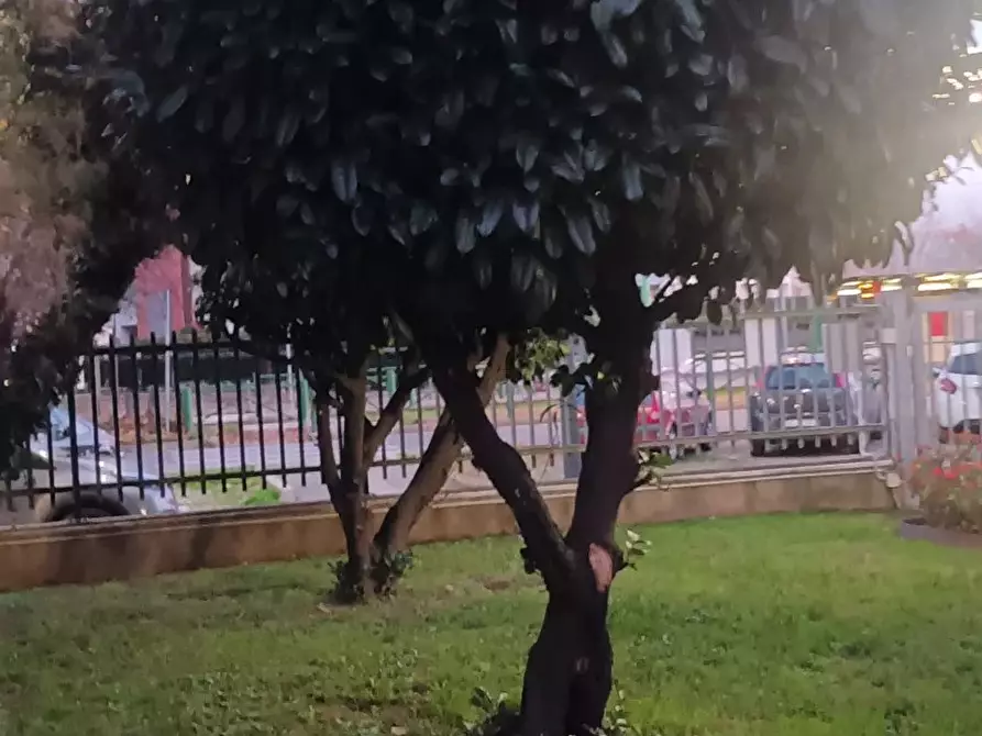 Immagine 24 di Casa trifamiliare in affitto  a Milano