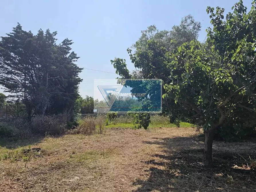 Immagine 7 di Terreno edificabile in vendita  a Siracusa