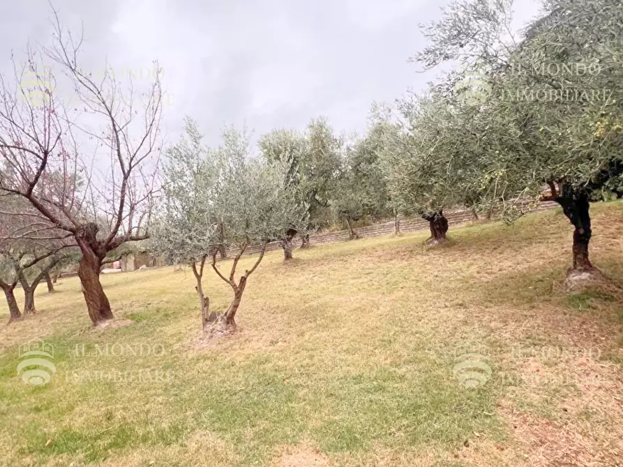 Immagine 41 di Casa trifamiliare in vendita  a Palombara Sabina