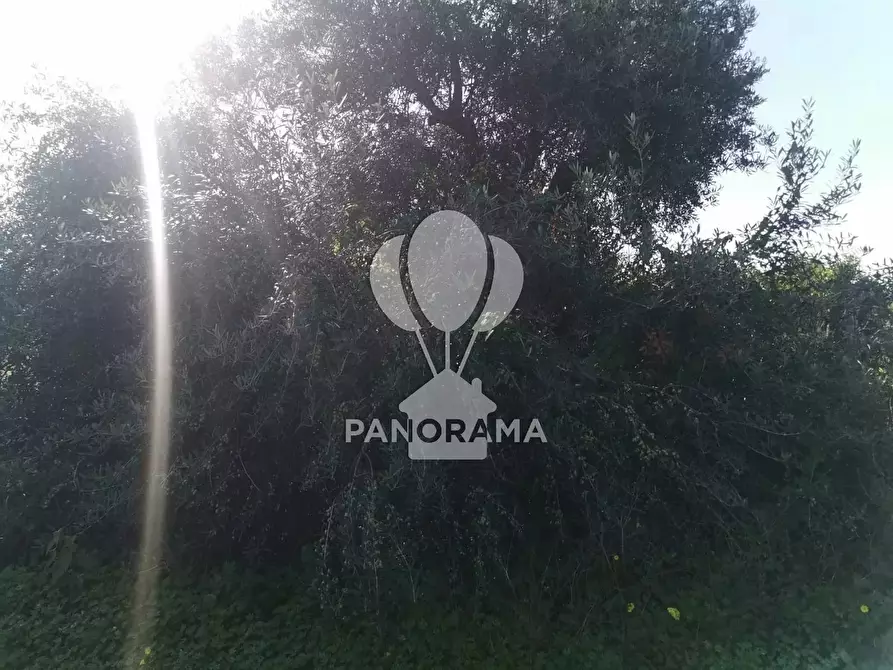 Immagine 4 di Terreno in vendita  in Contrada San Cataldo a Capaci