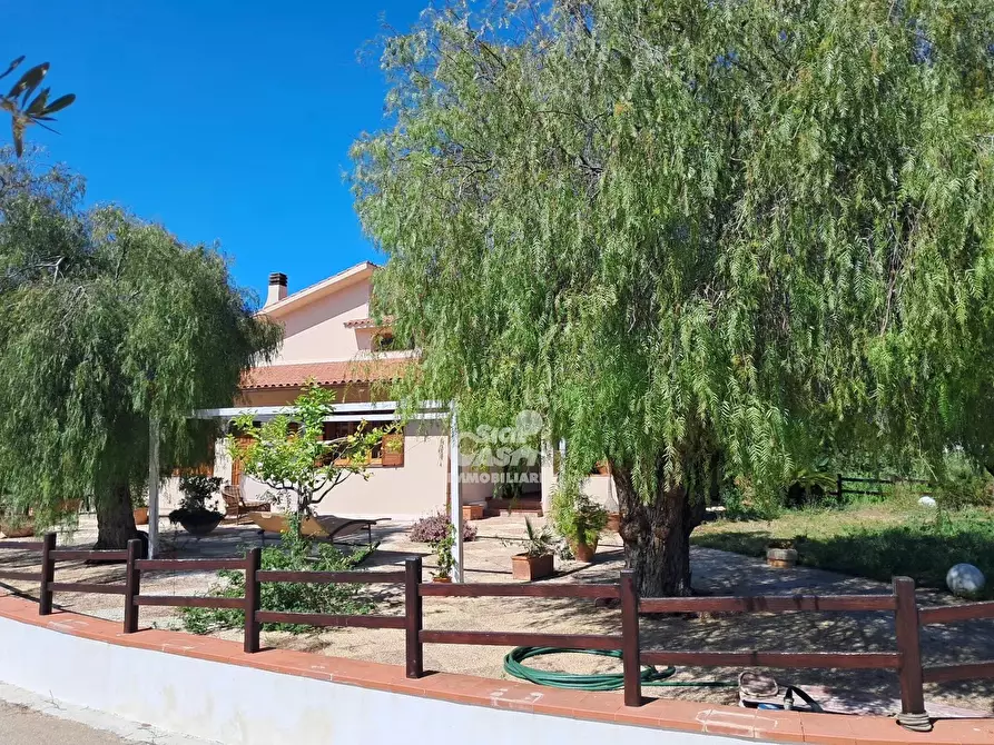 Immagine 3 di Terreno edificabile in affitto  a Marsala