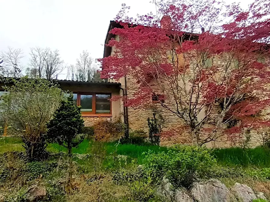 Immagine 36 di Terreno edificabile in vendita  a Refrontolo