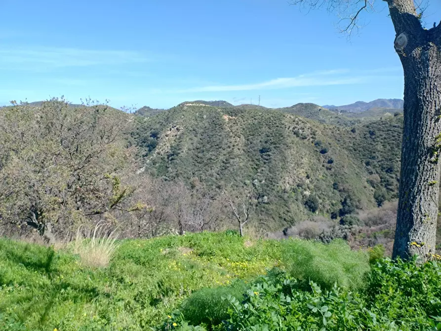 Immagine 8 di Terreno in vendita  in Contrada Bosco, roccavaldina, me a Condrò
