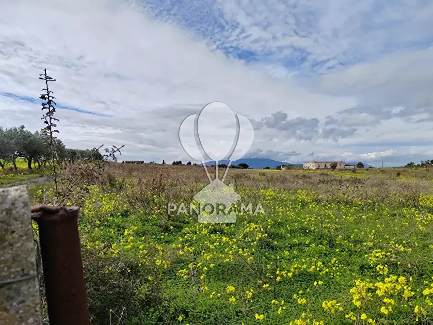 Immagine 13 di Attico in vendita  a Partinico