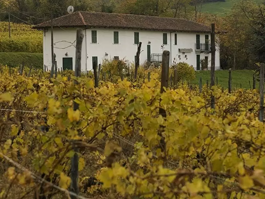 Immagine 3 di Terreno edificabile in vendita  a Santo Stefano Belbo