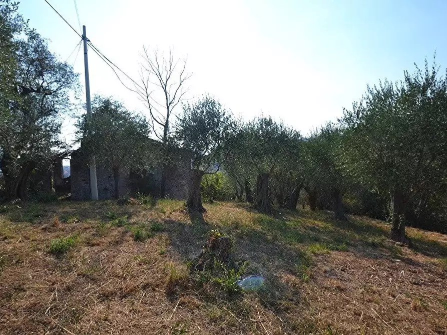 Immagine 6 di Terreno edificabile in vendita  in Via degli Ulivi a Lavagna