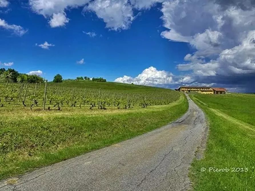 Immagine 9 di Attico in vendita  a Pontestura