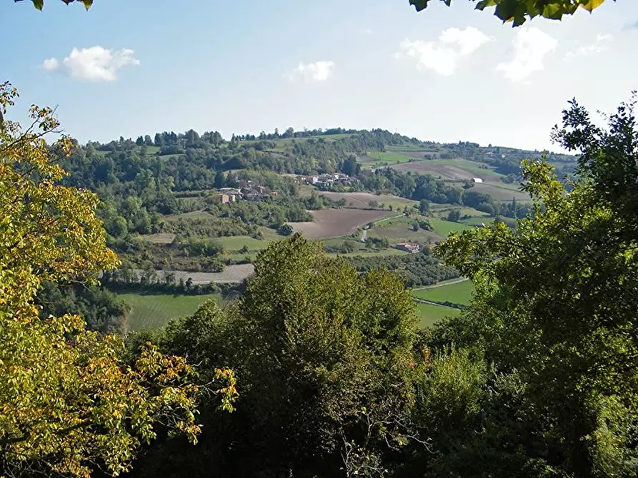 Immagine 16 di Terreno edificabile in vendita  a Barolo