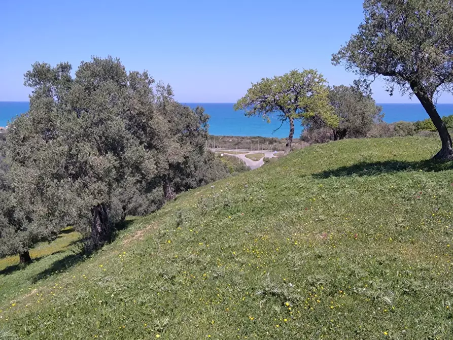Immagine 2 di Terreno in vendita  in contrada Cappellieri a Cirò
