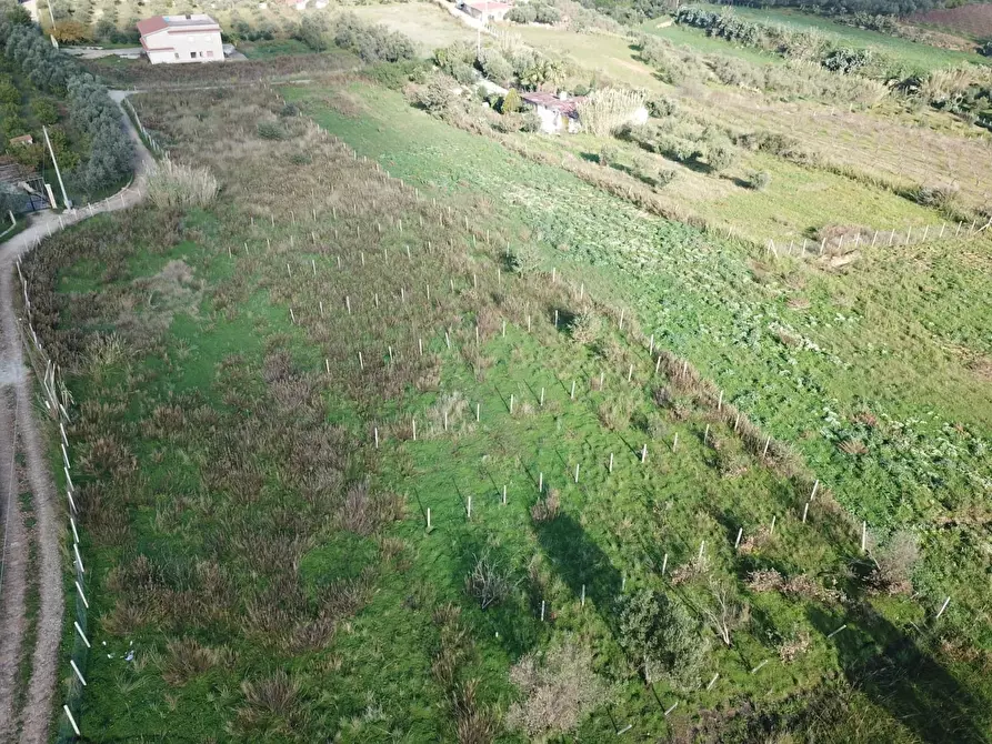 Immagine 1 di Terreno in vendita  a Partinico