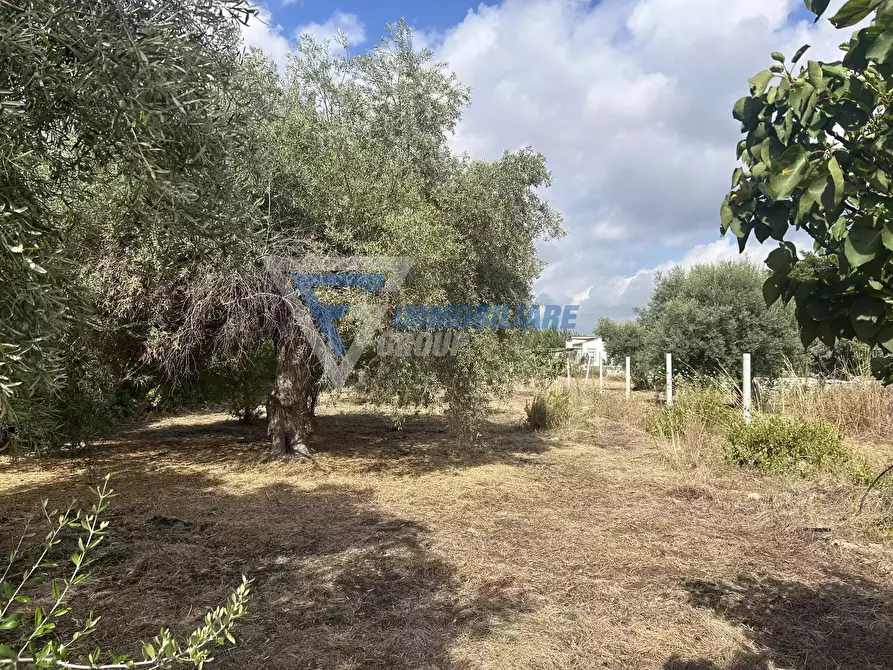 Immagine 5 di Terreno edificabile in vendita  in Traversa Masseria Gargallo a Siracusa