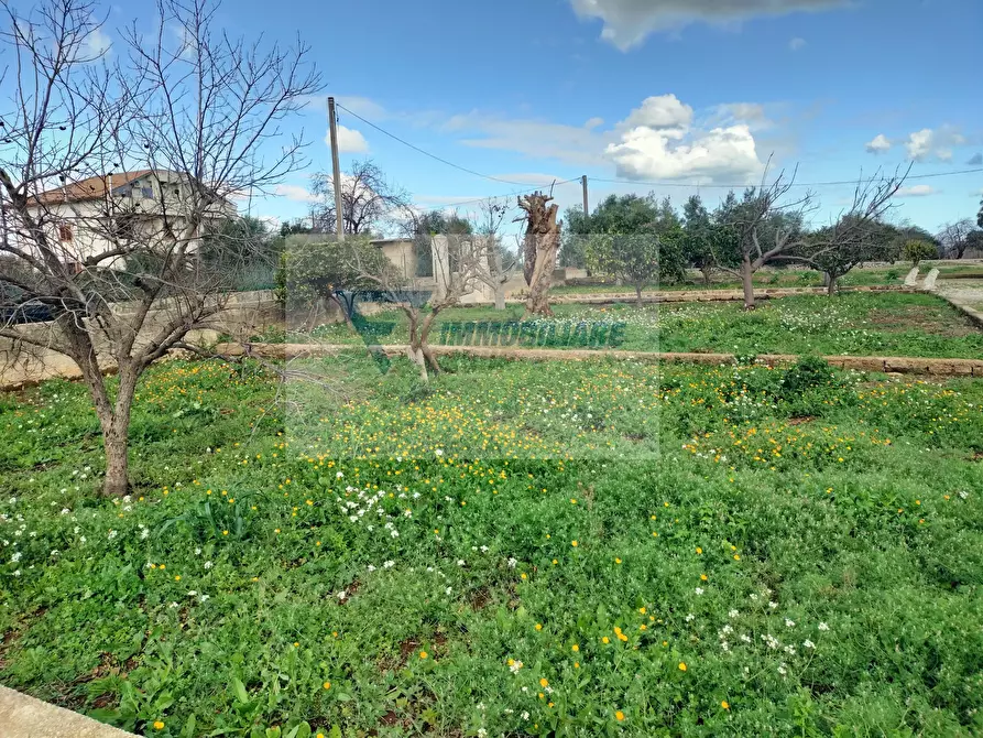 Immagine 7 di Terreno in vendita  in Contrada Biggemi a Buccheri
