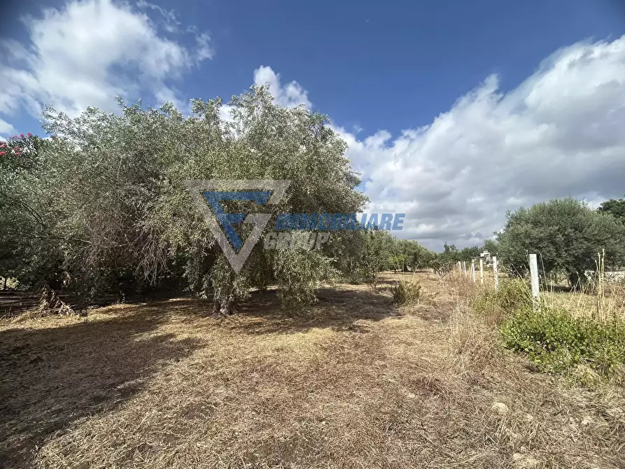 Immagine 2 di Terreno edificabile in vendita  in Traversa Masseria Gargallo a Siracusa