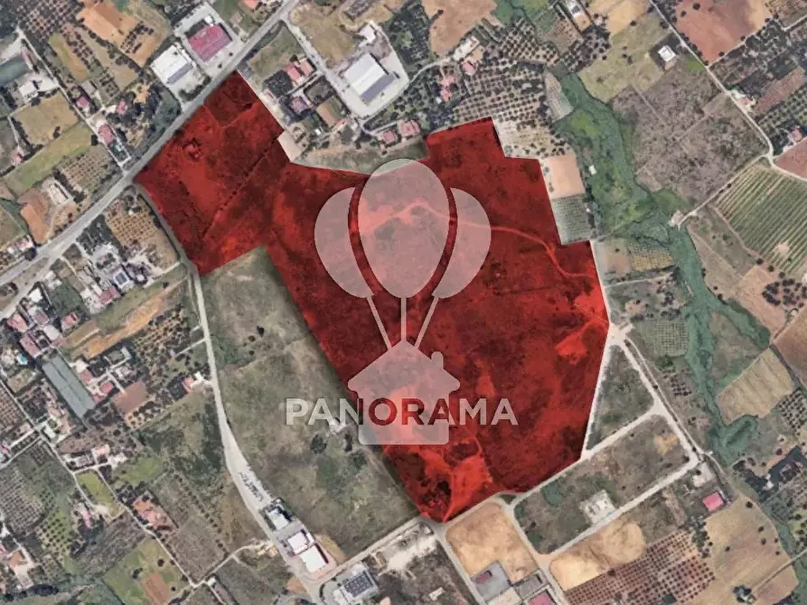 Immagine 4 di Terreno in vendita  in SS113 a Partinico