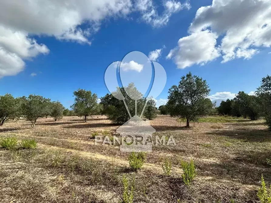 Immagine 24 di Terreno edificabile in vendita  in Strada Statale 113 a Partinico