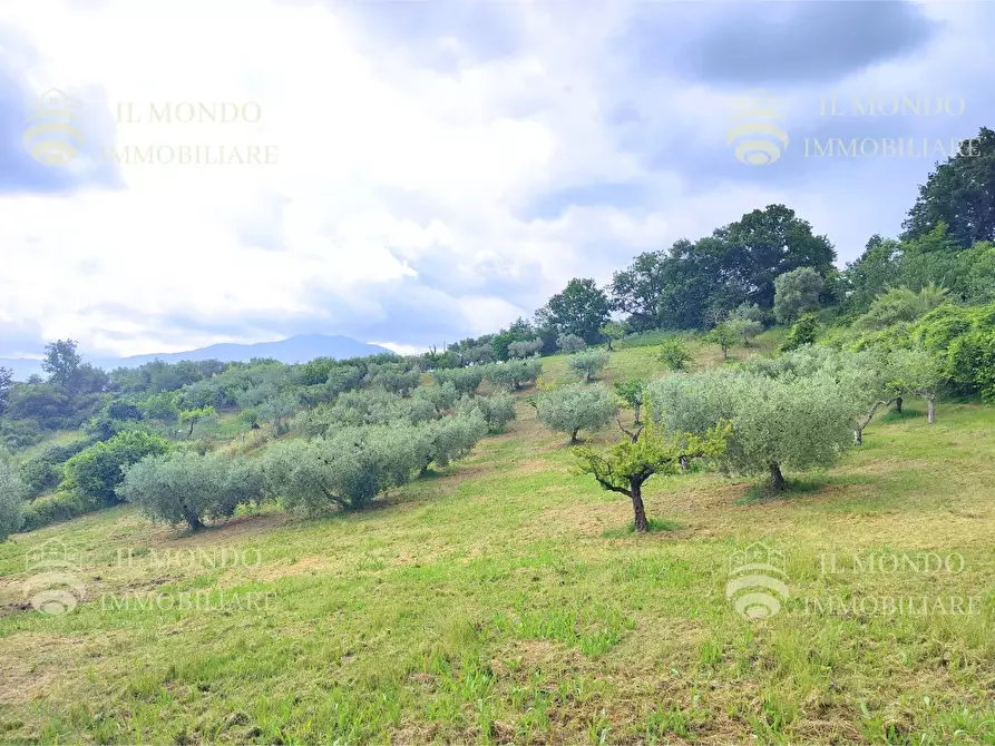 Immagine 25 di Casa bifamiliare in vendita  in Strada di Colle Fagiano a Palombara Sabina
