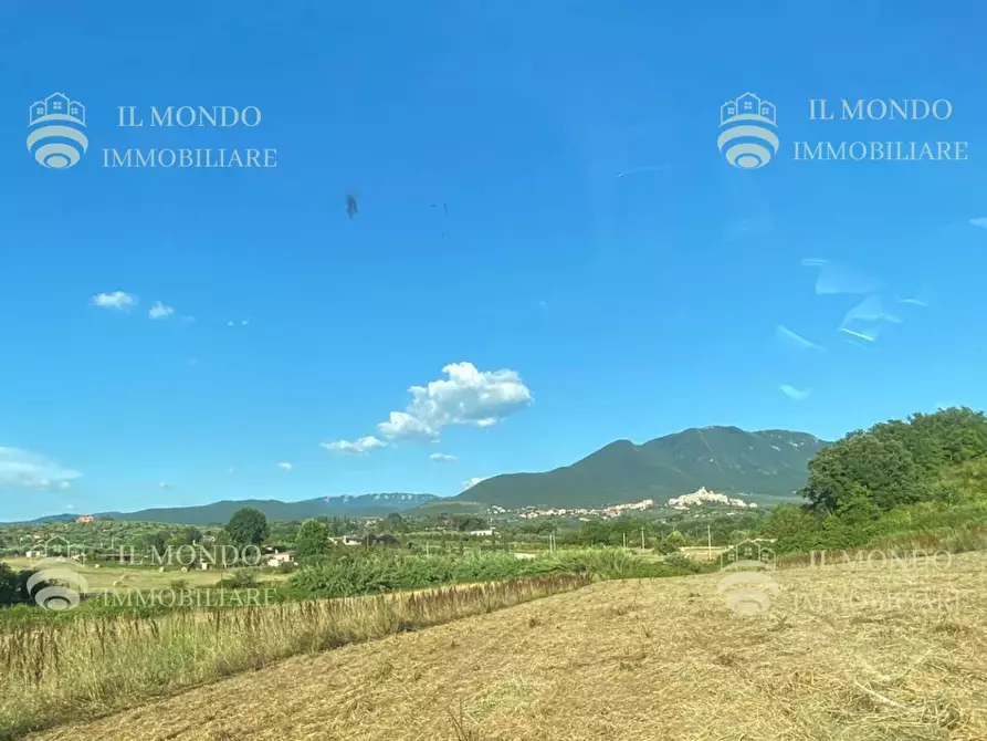 Immagine 5 di Terreno in vendita  in Strada di Colle Pedeschiavo a Palombara Sabina