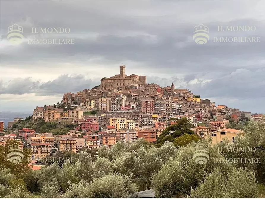 Immagine 37 di Casa trifamiliare in vendita  a Palombara Sabina