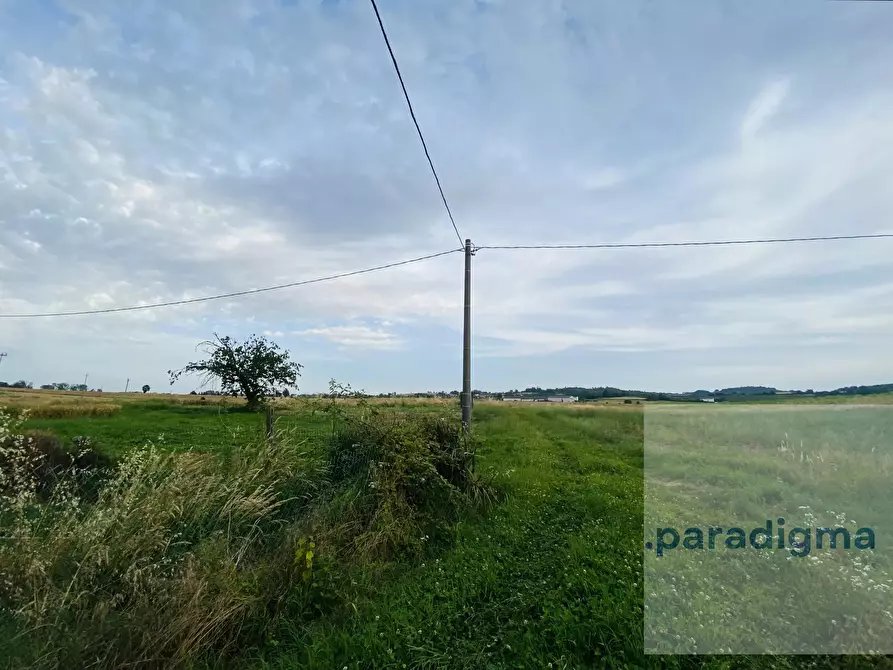 Immagine 3 di Terreno edificabile in vendita  in Località Vo a San Salvatore Monferrato