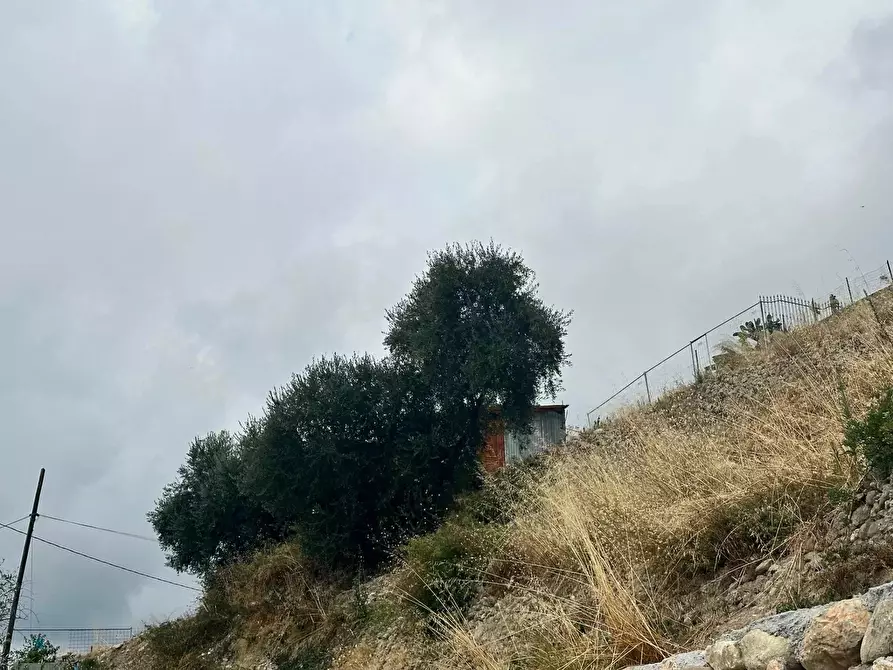 Immagine 5 di Terreno in vendita  in Via Monsignor Nicolò Peitavino a Ventimiglia