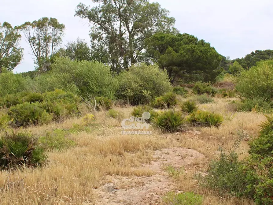 Immagine 13 di Terreno edificabile in vendita  a Marsala